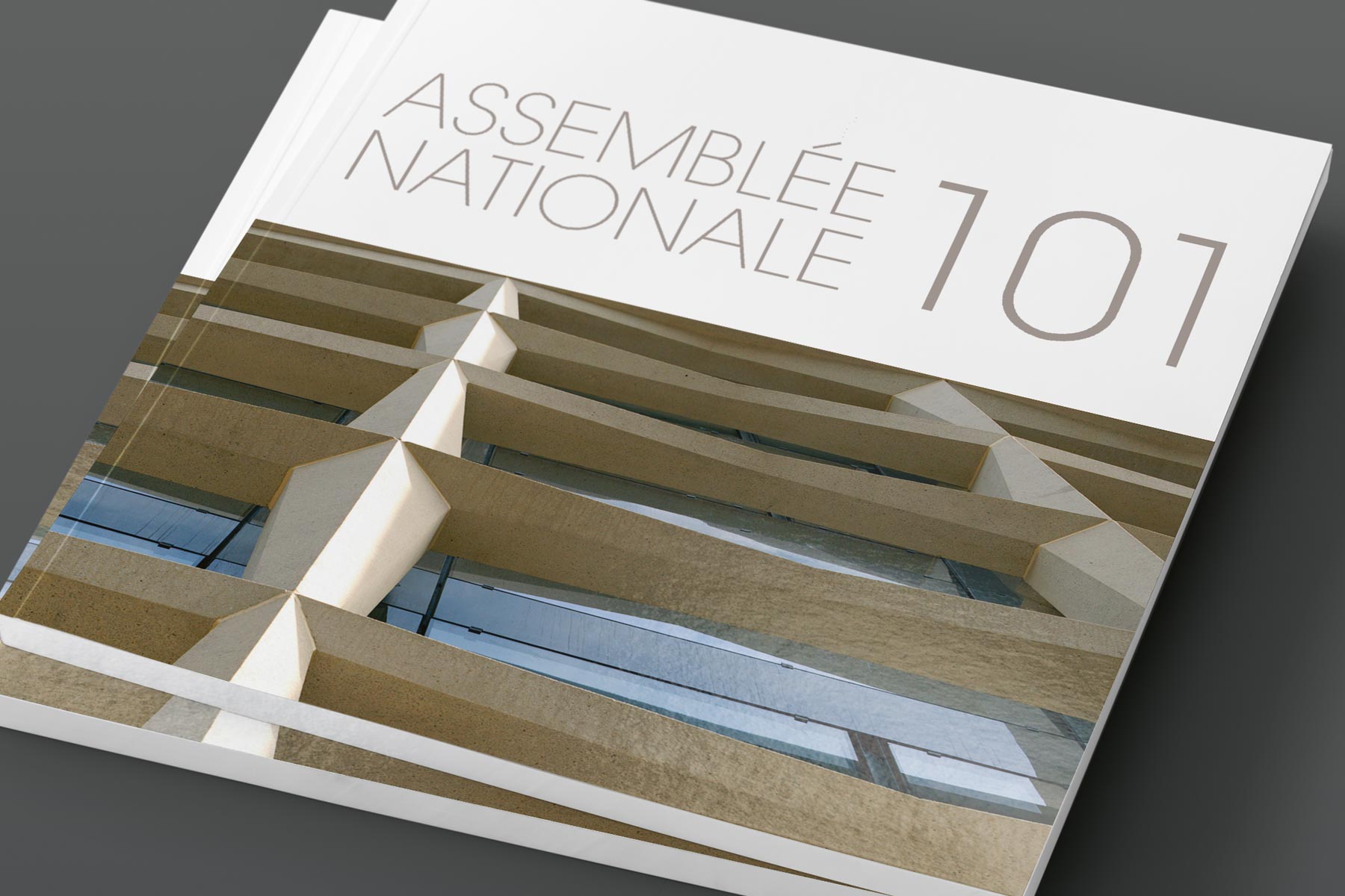 assemblee_cover_rvb_1800